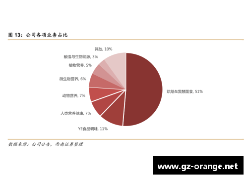 体育明星的全球影响力与经济价值分析